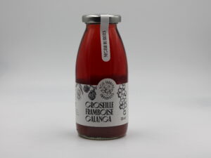 Jus gastronomique Bio Groseille, framboise & galanga