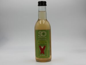 Kombucha Bio Menthe & Citron vert