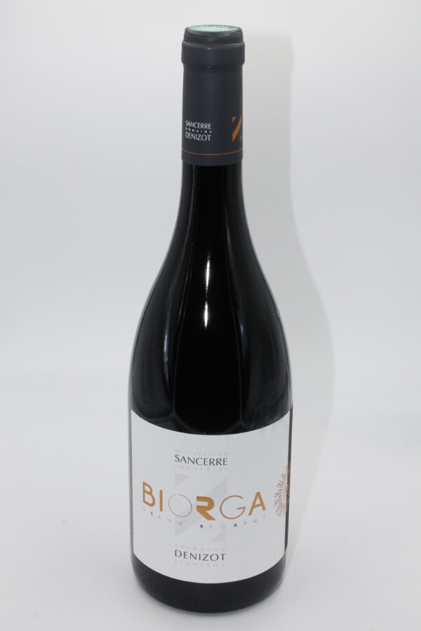 Sancerre Biorga 2020