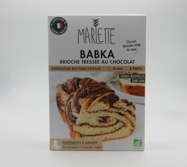 Babka Brioche au chocolat Bio