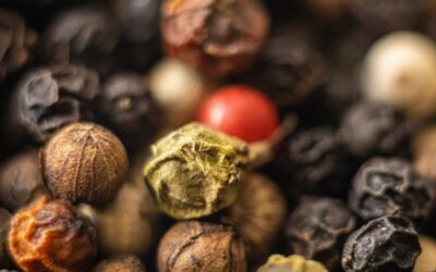 Le poivre – comment le choisir