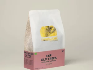 Café en grain KSF Old Trees Éthiopie